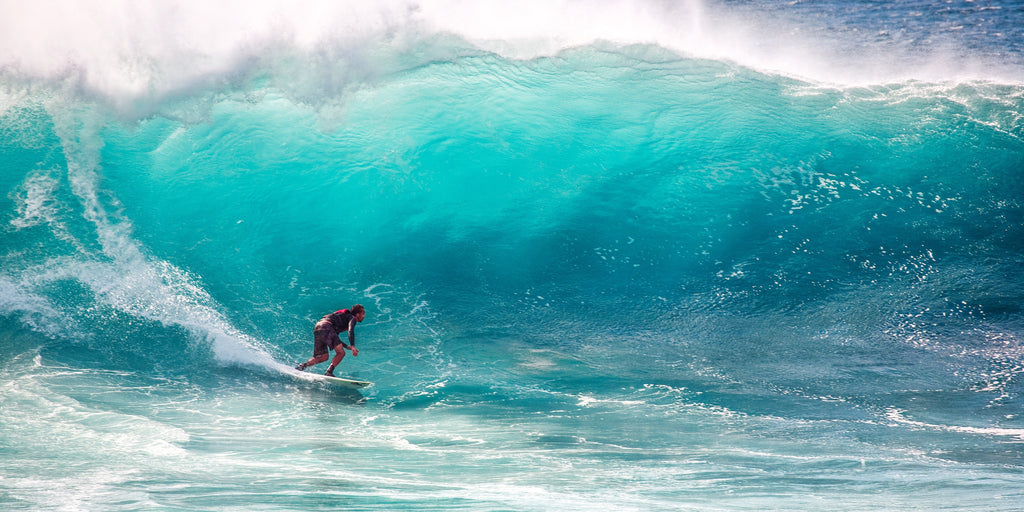 Wave Join Surfers Against Sewage 250 Club