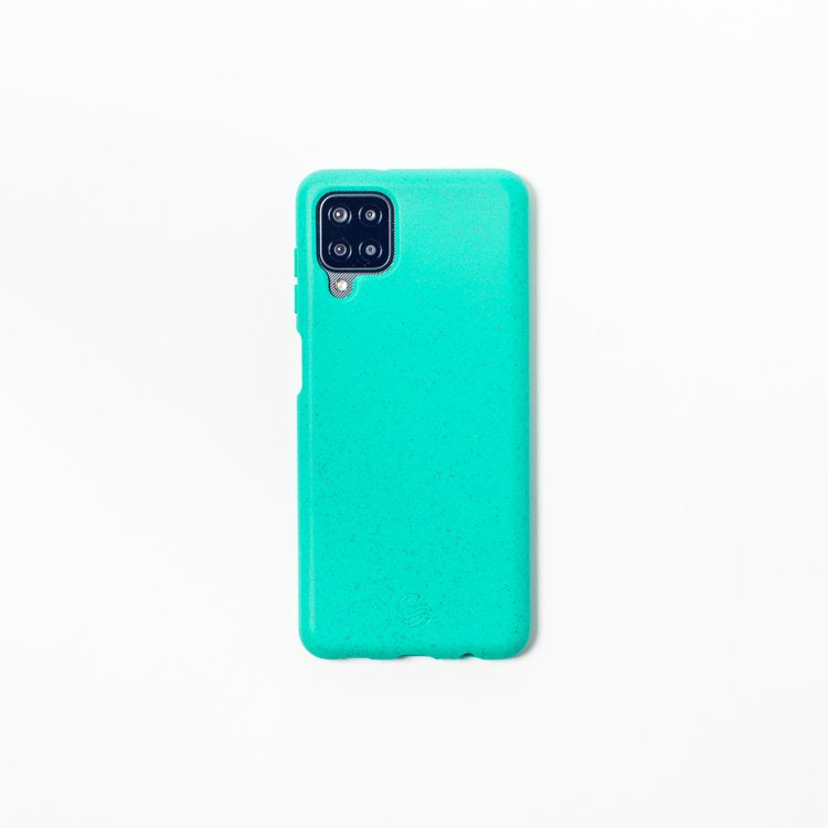 case for the phone